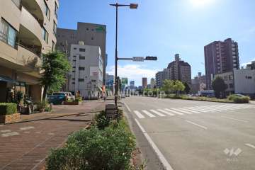 敷地西側の前面道路（北側から）