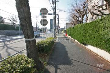 敷地東側の前面道路(北側から)