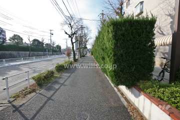 敷地東側の前面道路(北側から)