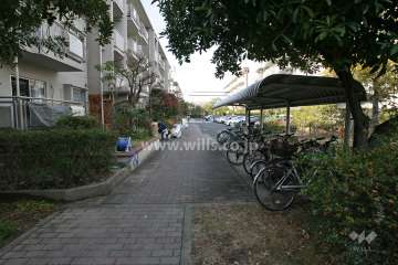 敷地北側の通路
