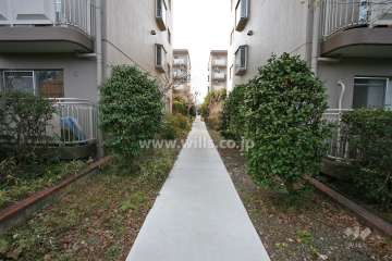 敷地西側の通路