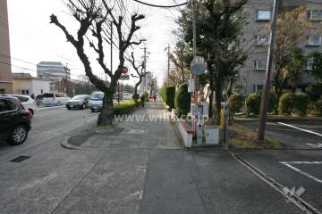 敷地東側の前面道路(北側から)