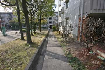 敷地東側の通路