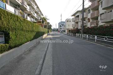 敷地南側の前面道路(西側から)