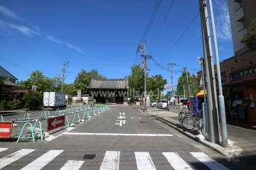 敷地西側の前面道路（南側から）　すぐ北側に『建中寺公園』があります。