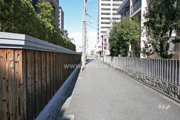 敷地東側の前面道路（南側から）