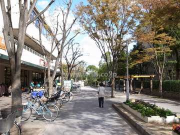 C棟の敷地西側は遊歩道に面し、遊歩道を挟んで商業施設があります。