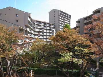 敷地内は植栽スペースが多く設けられ、たいへん緑豊かです。（左側がC棟）