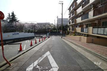 敷地南側の前面道路（東側から）