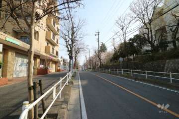 敷地西側の前面道路（北側から）