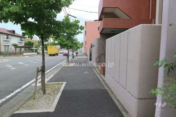 敷地北側の前面道路（西側から）