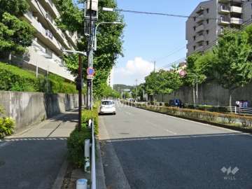 敷地南側の前面道路(西側から)