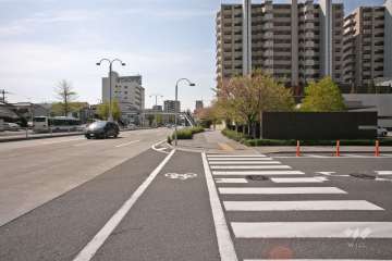 敷地東側の前面道路