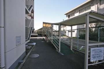 敷地東側の前面道路(北側から)