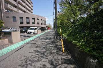 敷地南側の前面道路(西側から)