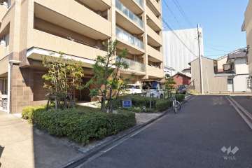 敷地内の各所に植栽スペースが設けられています。