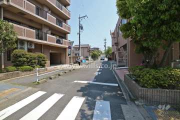 敷地南側の前面道路