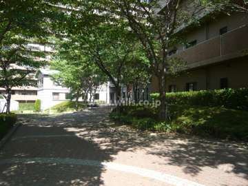 エントランスアプローチ