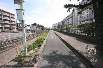 敷地北側の前面道路