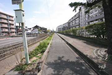 敷地北側の前面道路