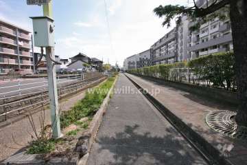 敷地北側の前面道路(西側から)
