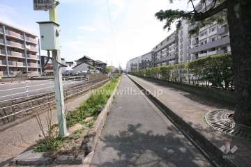 敷地北側の前面道路