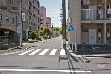 敷地西側の前面道路(北側から)