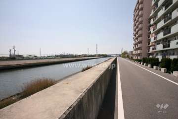敷地南西側の前面道路。河川敷に沿って色彩の異なる二対のマンションが並んで建っています。青色が真栄マンション第2泉楽です。