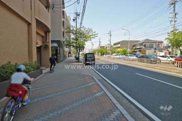 敷地前面道路