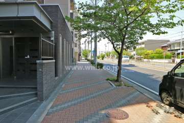 敷地北側の前面道路(東側から)