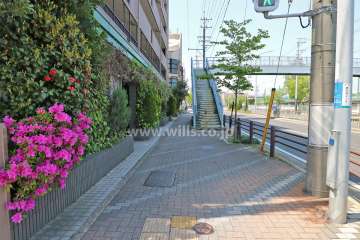 敷地北側の前面道路