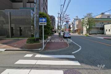 敷地西側の前面道路(北側から)