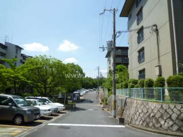 敷地内に植栽スペースが多く、緑豊かです。