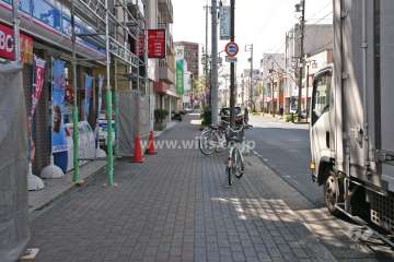 敷地西側の前面道路(北側から)
