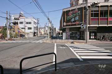 敷地東側の前面道路（南側から）