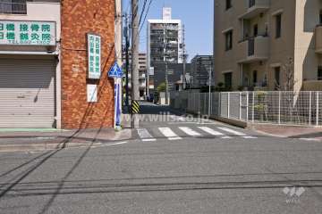 敷地西側の前面道路（南側から）