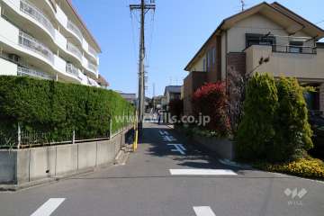 敷地南東側の前面道路（南西側から）