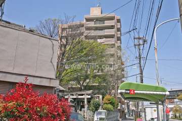 アイビーマンション内田橋南2の外観(南側から)