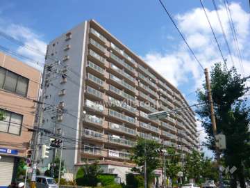 シーアイハイツ南千里A棟の外観（南西側から）　夏の頃。前の通りには街路樹が並んでいます。