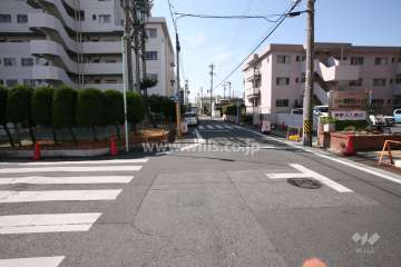 敷地西側の前面道路（北側から）