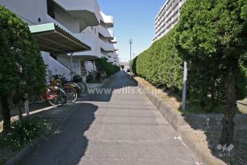 敷地北側の通路（東側から）