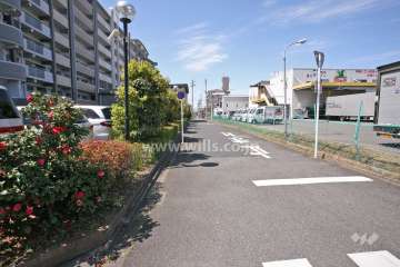 敷地北側の前面道路