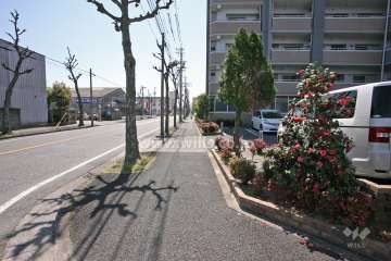 敷地東側の前面道路