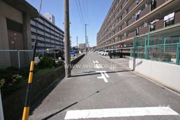 敷地南側の前面道路（東側から）