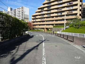 敷地西側の前面道路
