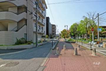 敷地西側の前面道路