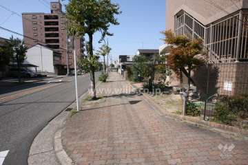 敷地南東側の前面道路（北東側から）