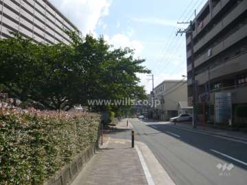前面道路は桜の木がきれいです。