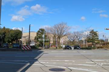 敷地南側の前面道路