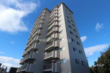 ニューコーポ白鳥の外観（南東側から）